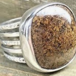 Silpada sterling silver and bronzite ring